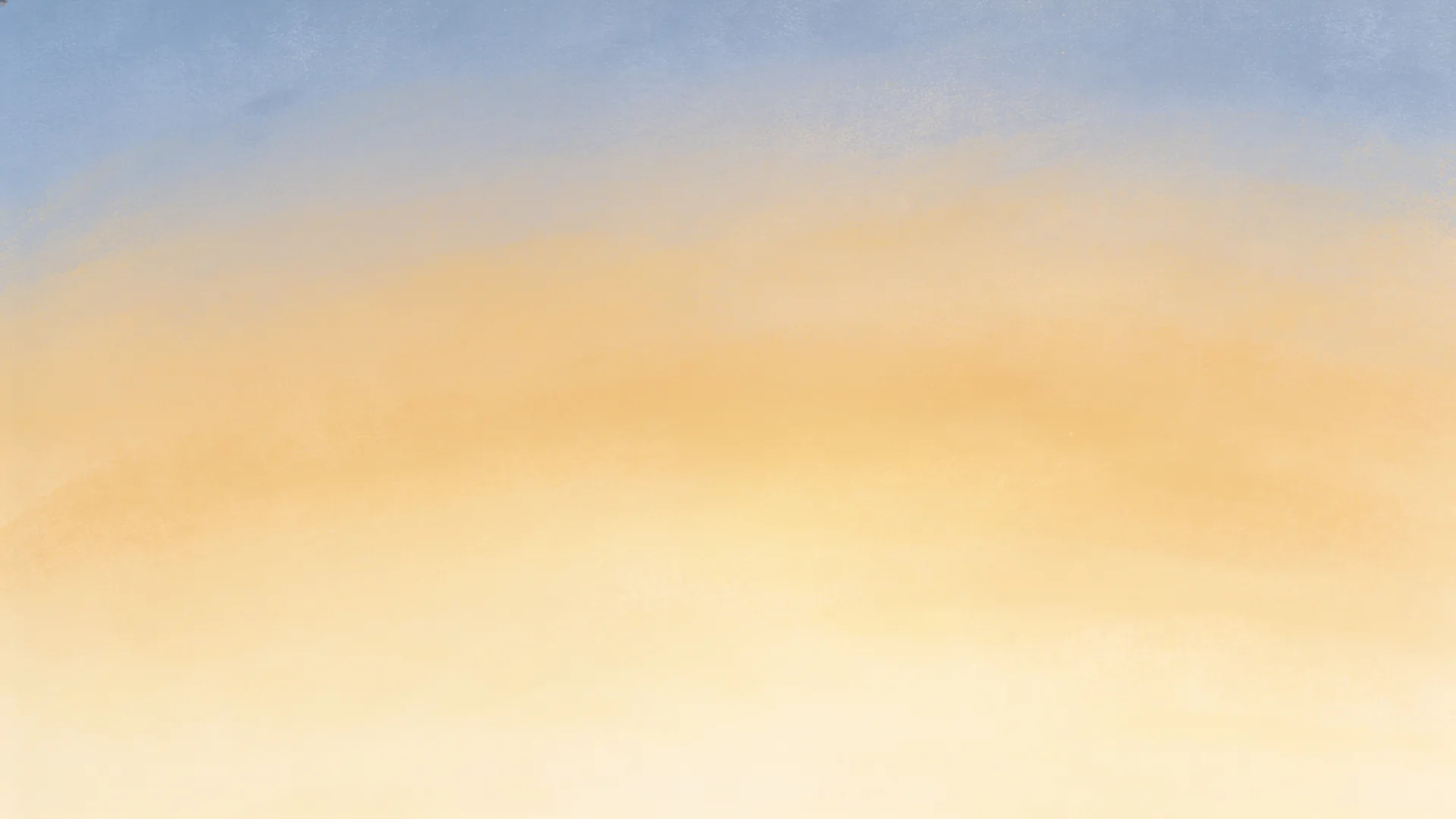 An open field at golden hour